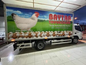 WhatsApp Image 2026-02-16 at 22.08.44 (1)